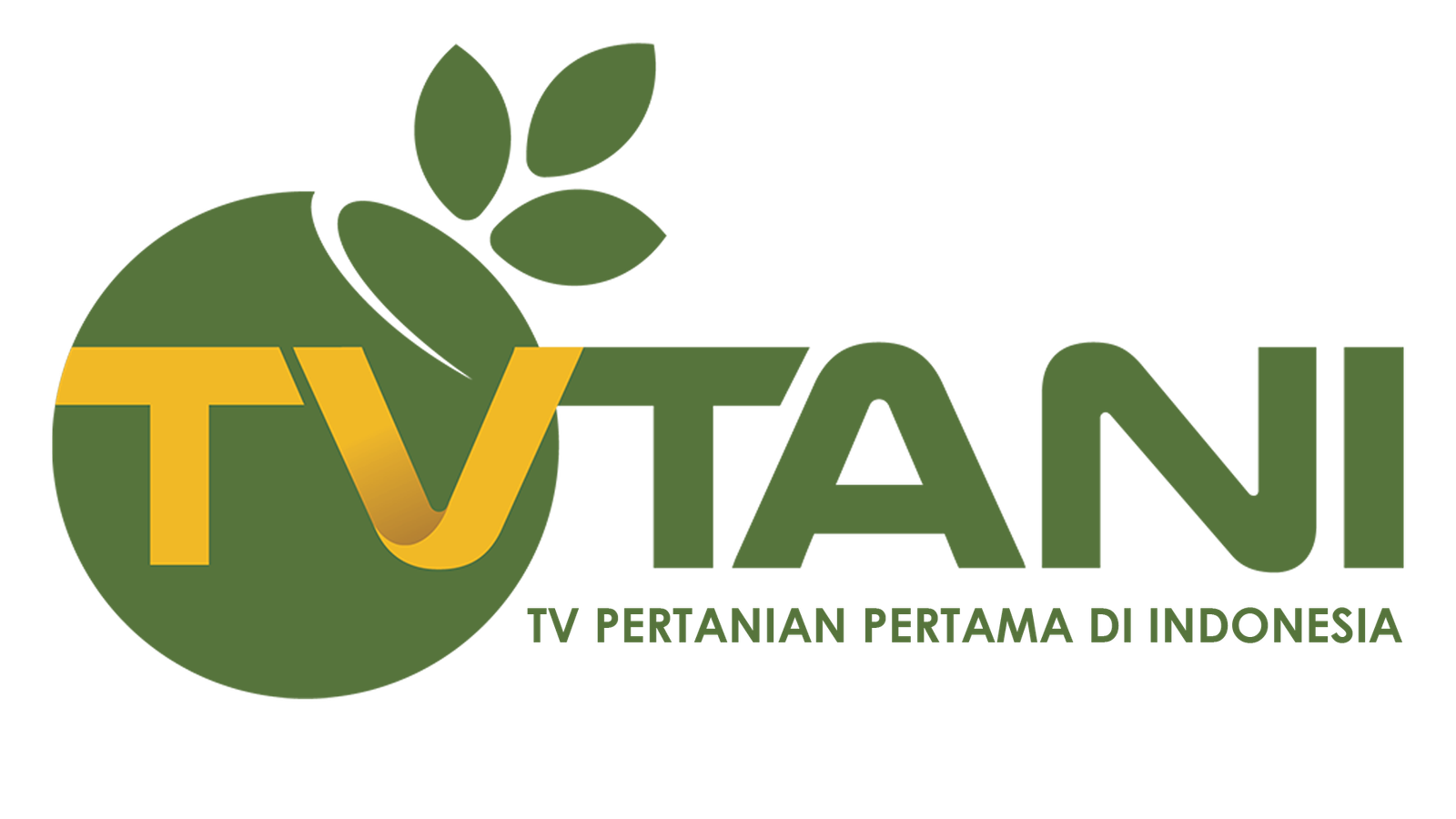 TVTani